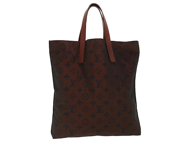 Louis Vuitton Escapade Brown Synthetic  ref.680624