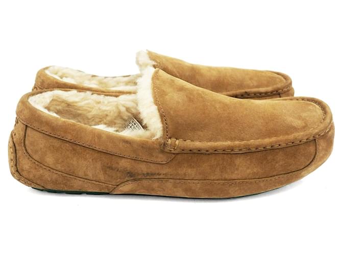 UGG Ascot Wildleder-Loafer in honigbronzefarbener Größe 44,5 EU Braun Schweden Wolle  ref.684179