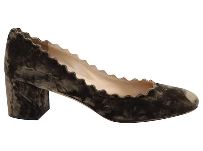 Chloé Lauren Scalloped Pumps in Brown Velvet   ref.686355