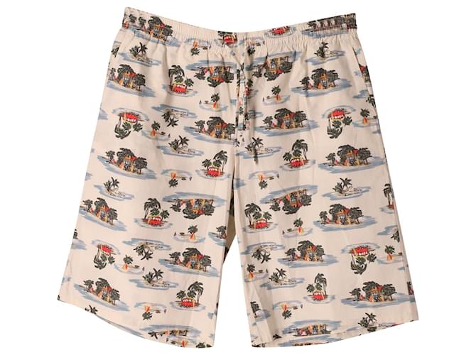 Bottega Veneta Bermuda Shorts in Multicolor Cotton  Python print  ref.686902