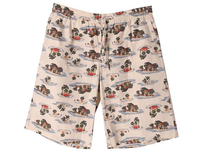 Bottega Veneta Bermuda Shorts in Multicolor Cotton  Python print  ref.687281