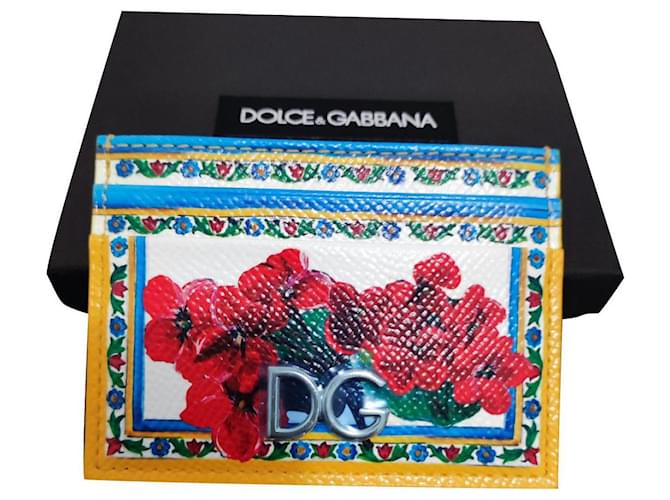 Dolce & Gabbana Bourses, portefeuilles, cas Cuir Multicolore  ref.687938