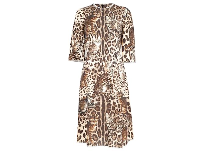 Dolce & Gabbana Leopard and Kitten Print Dress in Brown Wool  ref.691829