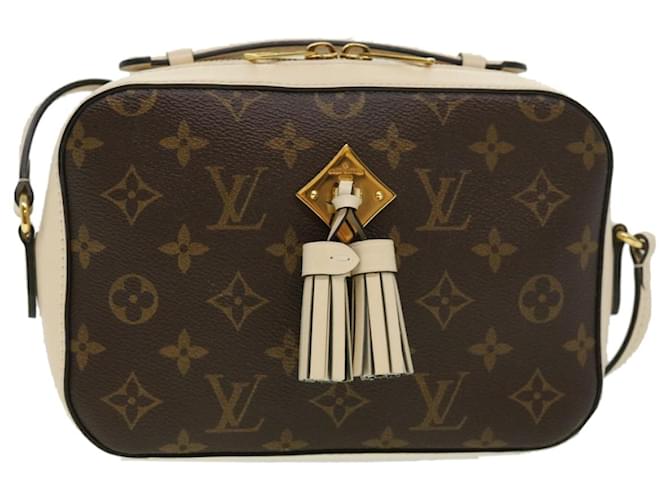 Louis Vuitton Bags Saintonge