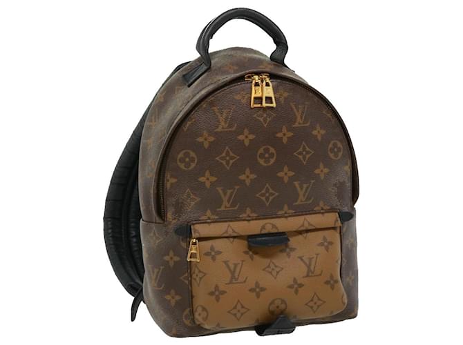LV palm springs backpack pm size