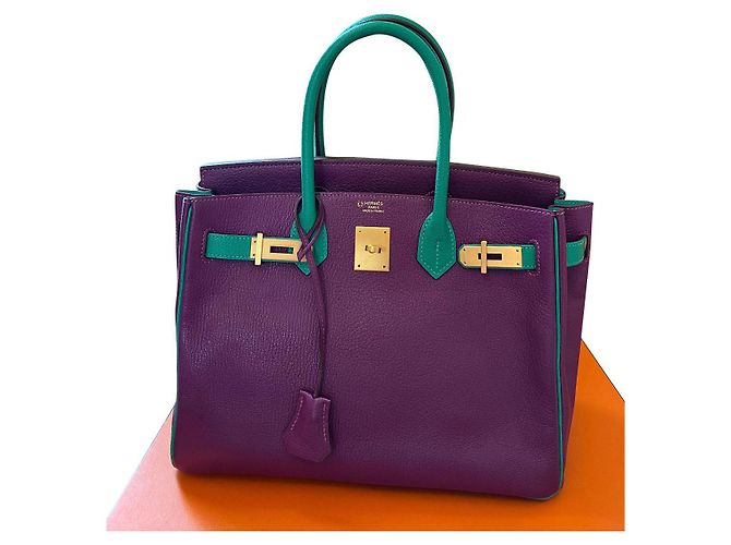 Hermès Birkin 30 Anemone Menthe Cherve Pelle Multicolore Porpora