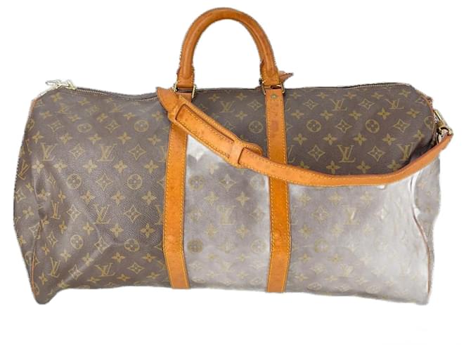 Brown Coated Canvas Louis Vuitton Neverfull Cloth  ref.718822