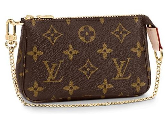 Louis Vuitton Monogramma LV Accessori mini pochette Marrone