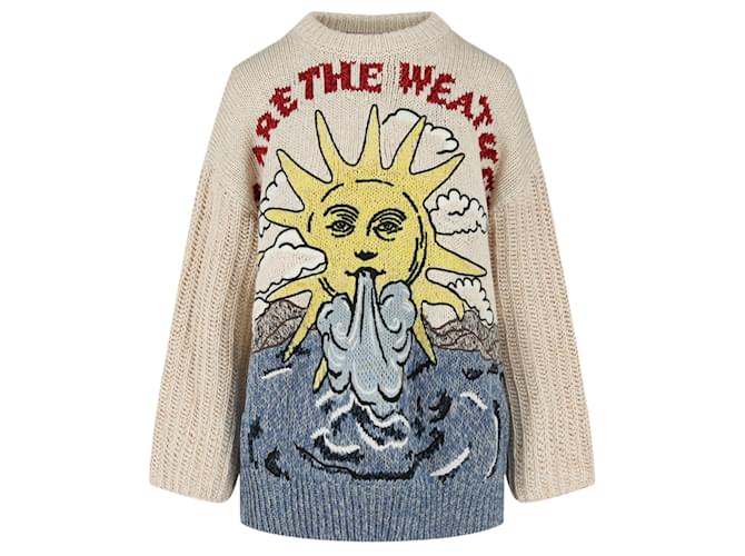 Stella Mc Cartney Stella McCartney We Are The Weather Knit Sweater Multiple  colors ref.740010 - Joli Closet