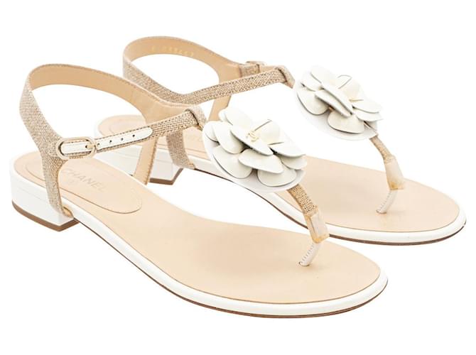 Chanel CC Camelia Thong Flat Sandals