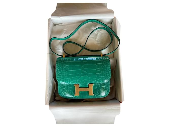 Hermès Mini constance croco shiny vert jade or Green Exotic leather  ref.739118 - Joli Closet