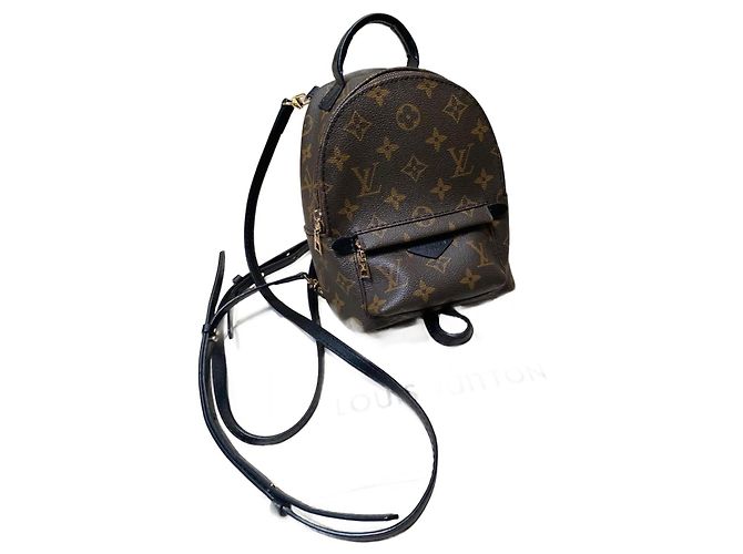 Louis Vuitton Rucksack Palm Springs mini Dunkelbraun