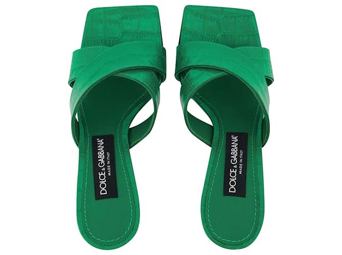 3.5 Mules - Dolce & Gabbana - Zerba/Verde - Leather Green  ref.744232