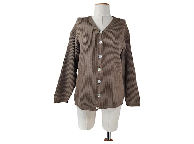 Fabiana Filippi Knitwear Brown Wool  ref.747757