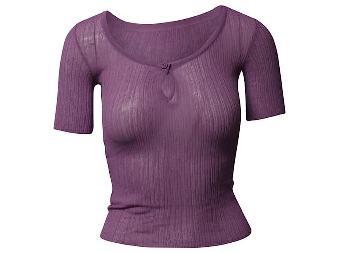 Jacquemus Rib-Knit Sheer Top in Purple Viscose Cellulose fibre  ref.752676