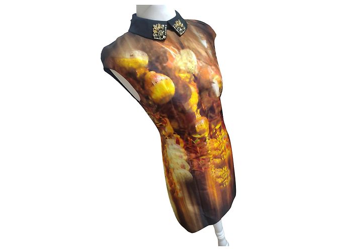 Ted Baker Kleid 