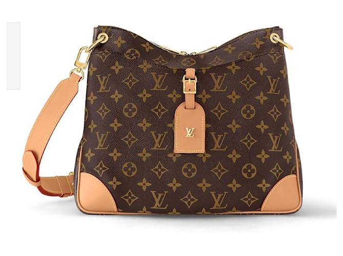 Louis Vuitton LV Odeon bag new Brown  ref.768211