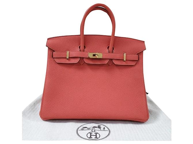 Hermès HERMES BIRKIN 25 Bag Red Leather ref.769059 - Joli Closet