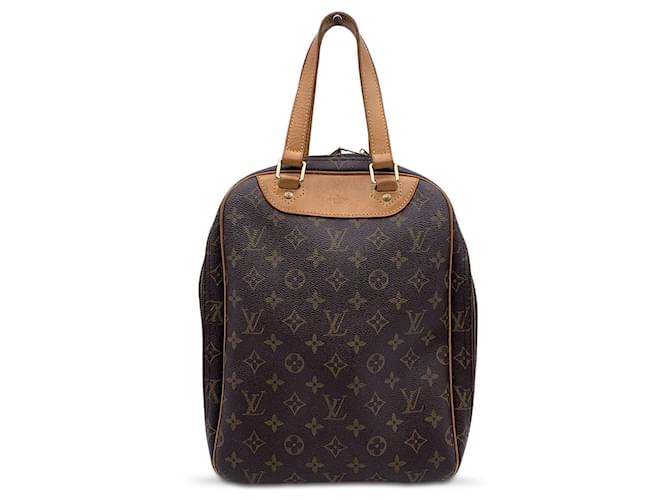 Louis Vuitton Bolsa de viaje para zapatos de excursión de lona con monograma marrón Castaño Lienzo  ref.769879