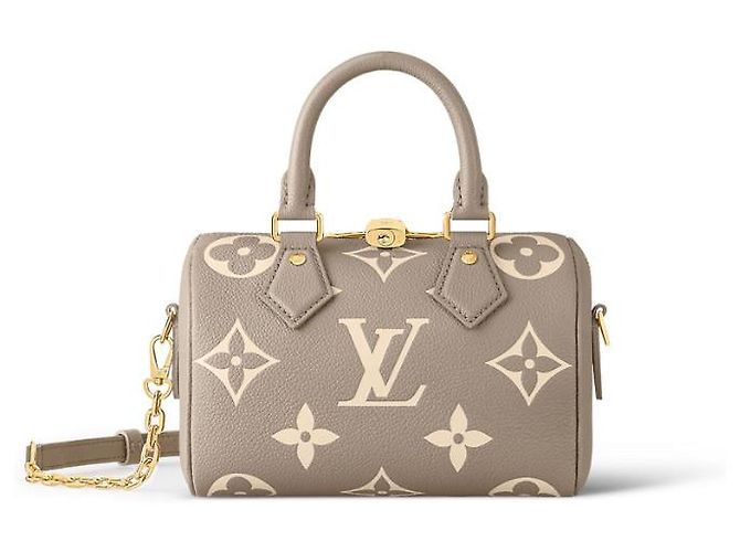 Louis Vuitton LV speedy 20 bicolore neuf Gris