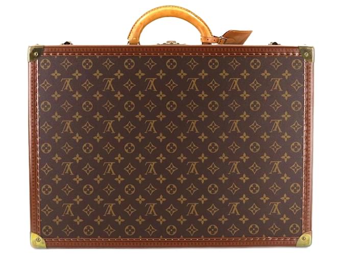 Louis Vuitton Alzer Brown Cloth  ref.778513