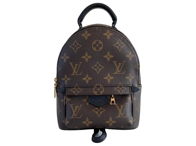 Louis Vuitton Palm Springs PM backpack monogram black leather rug