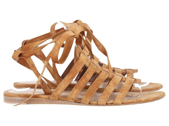 Gianvito Rossi Pompei Wrap Gladiator Sandals in Brown Suede  ref.795949