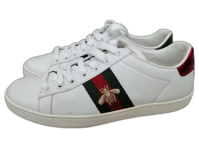 Gucci Ace