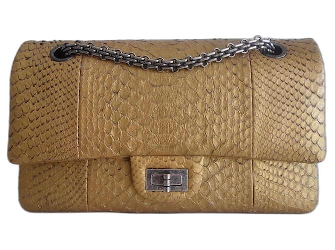 Chanel Tasche 2.55 goldene Pythonschlange  ref.819294