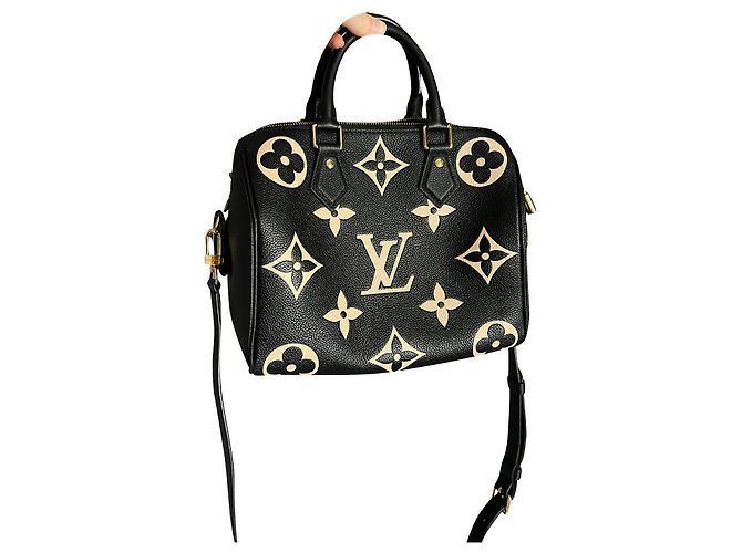 Louis Vuitton Sacs à main Noir