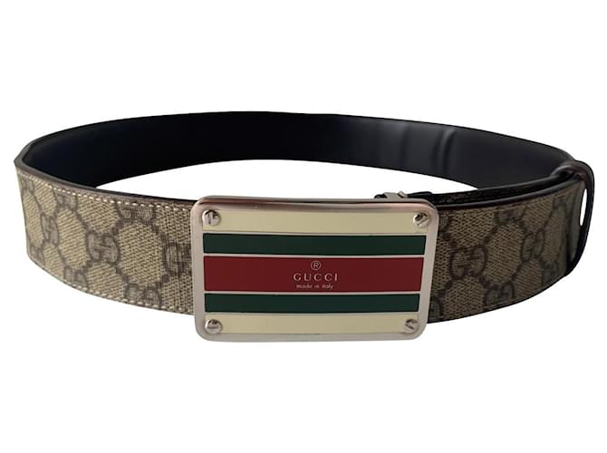 Gucci Belts Brown Red Green Leather Metal  ref.848334