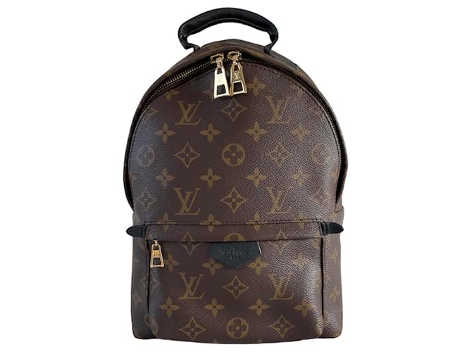 Louis Vuitton Palm Springs PM backpack monogram black leather rug