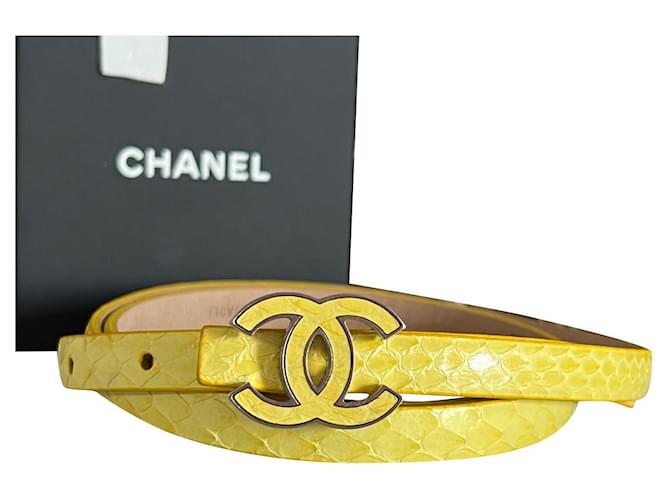 Chanel Python-Gürtel mit CC-Schnalle Gelb  ref.851306