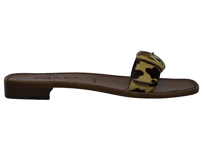 Ciabatte Prada in velluto con stampa leopardata con fibbia Pelle  ref.853171