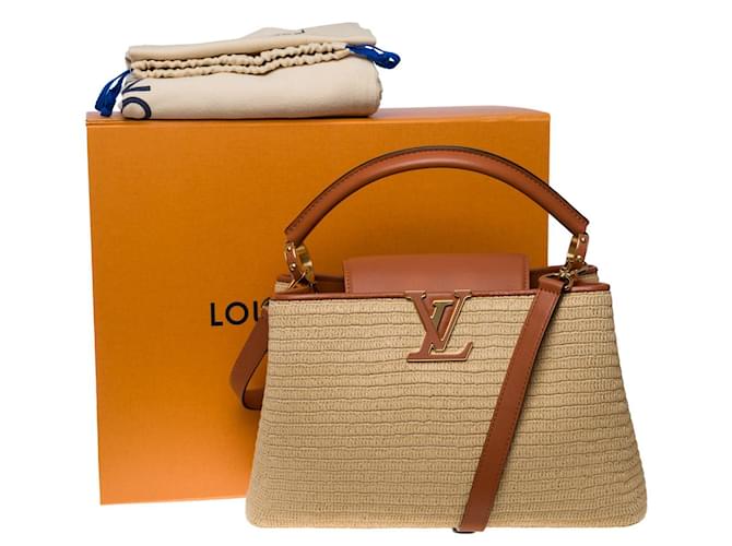 Louis Vuitton Straw Bags