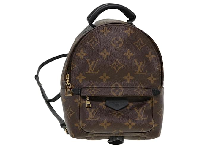 Louis Vuitton Palm Springs Backpack Backpacks