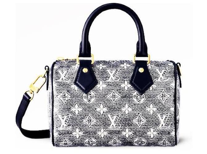 Handbags Louis Vuitton LV Speedy 20 Leather Blue