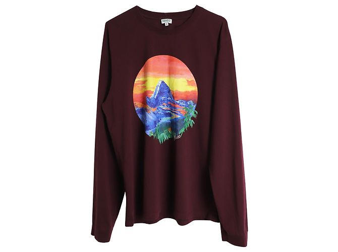 Camiseta de manga comprida Kenzo Classic Painting em algodão marrom