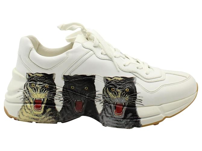 Gucci Rhyton Tigers Low Top Sneakers in White Leather  ref.879119