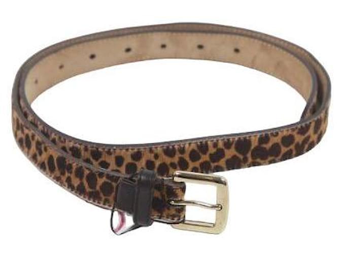 Dolce & Gabbana Leather Belt Brown  ref.879552