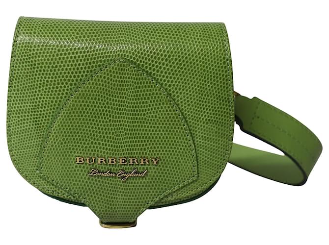 Kleine wandelbare Umhängetasche von Burberry aus grünem Leder  ref.882485