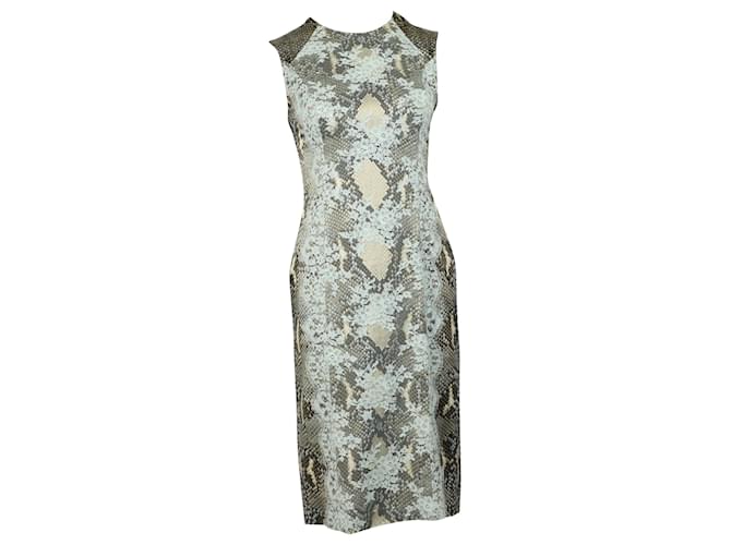 Erdem Kleid mit Schlangenledermuster und Spitzendetail aus grauer Viskose Zellulosefaser  ref.898771