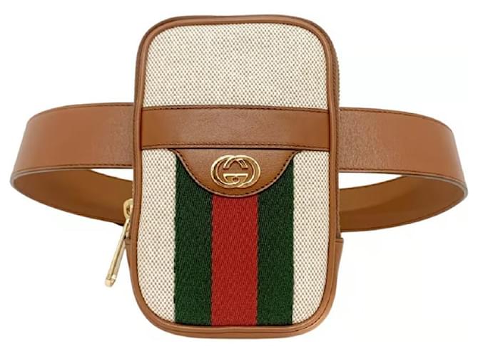 Gucci sac ceinture marron Cuir Beige Vert  ref.910887