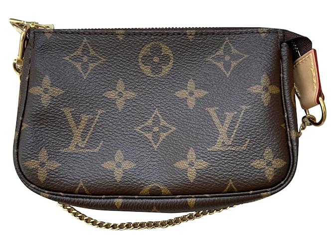 Louis Vuitton Pochette Accessories Mini Brown Cloth ref.916753