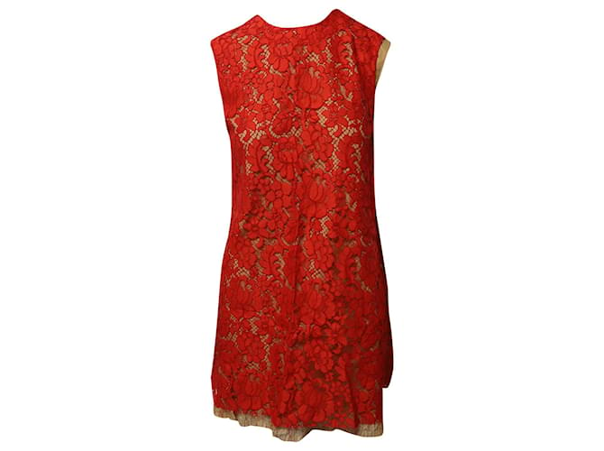 Miu Miu Lace Shift Dress in Red Cotton  ref.922164