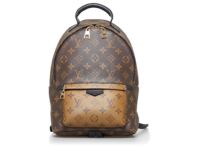 Louis Vuitton Palm Springs Backpack PM Brown Canvas