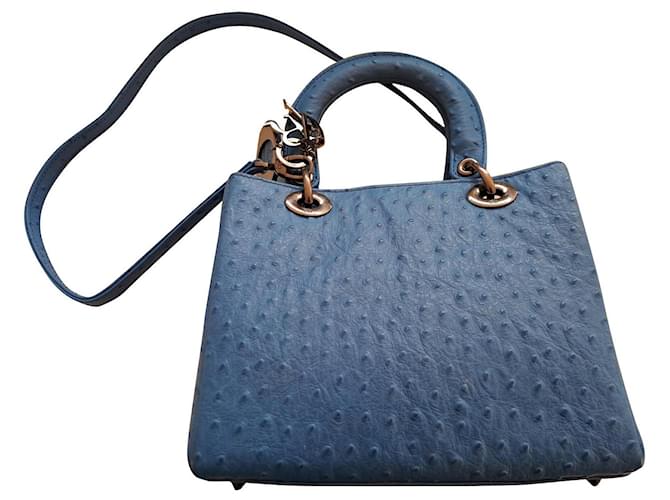 Christian Dior DIOR Handtasche Blau Pelz  ref.947976
