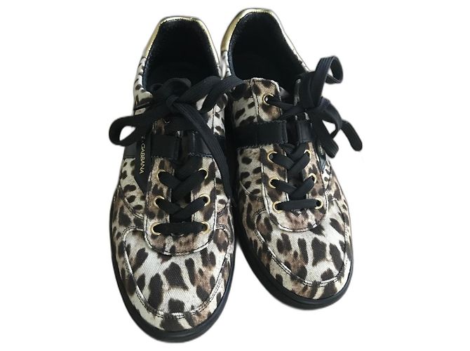 Baskets Dolce & Gabbana Runway motif léopard 39 Imprimé léopard