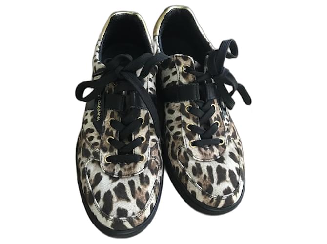 Dolce & Gabbana Sneakers Leopard print Cloth  ref.949084