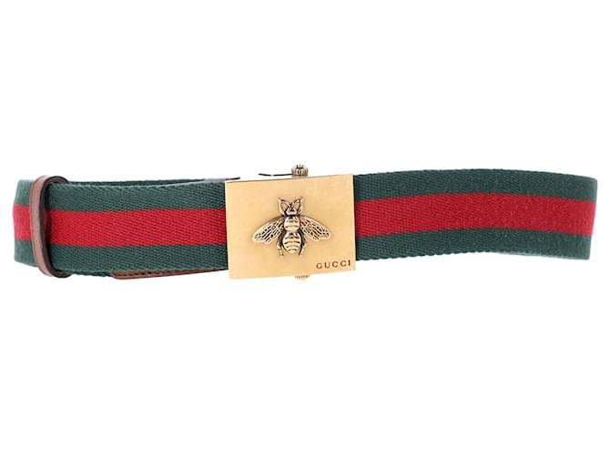 Gucci Bee Plague Gürtel mit Schnalle aus mehrfarbigem Webband und Leder Mehrfarben Baumwolle  ref.952020